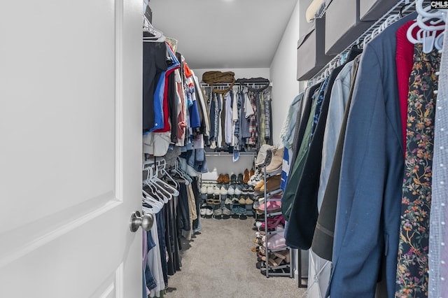 spacious closet with carpet