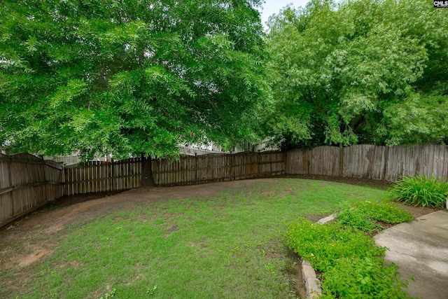 view of yard