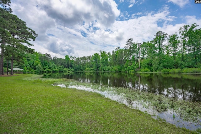 water view with a forest