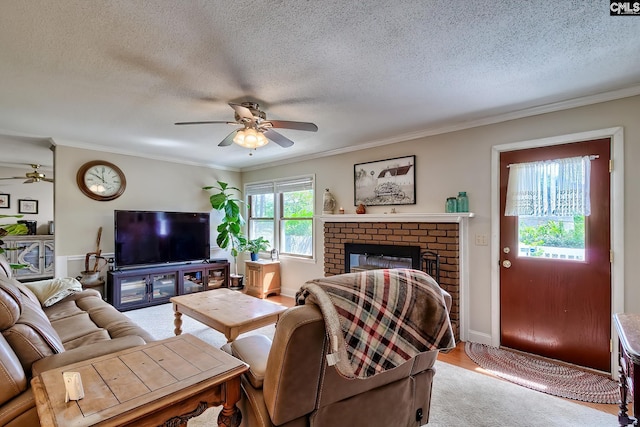 living room featuring ceiling fan, a textured ceiling, crown molding, a fireplace, and wood finished floors