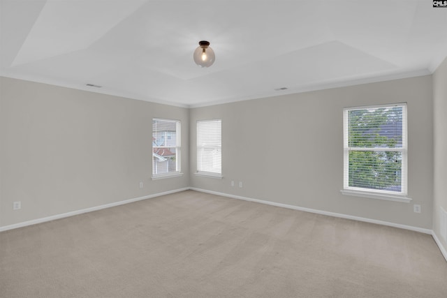 unfurnished room with light colored carpet, baseboards, a raised ceiling, and ornamental molding