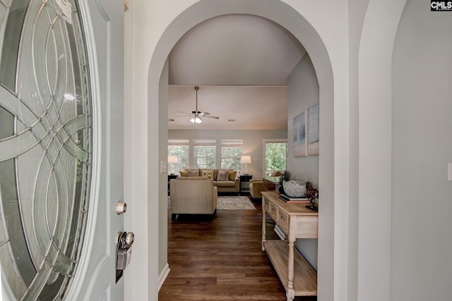 foyer entrance with ceiling fan, arched walkways, and dark wood-type flooring