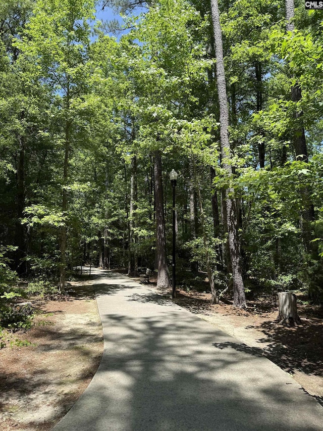 101 Odell Dr, Cayce, SC 29033 - view of street featuring a view of trees