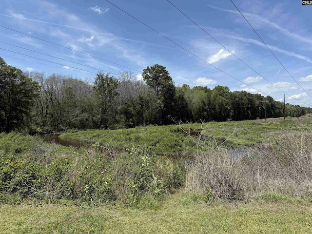 101 Odell Dr, Cayce, SC 29033 - view of wooded area