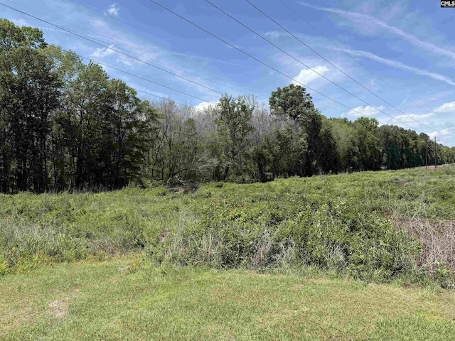 101 Odell Dr, Cayce, SC 29033 - view of tree filled area