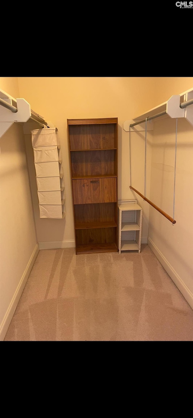 spacious closet with carpet