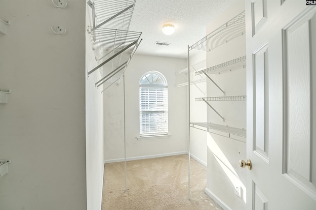 103 Beacon Ln, Columbia, SC 29229 - walk in closet featuring carpet flooring