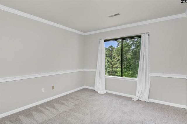 284 Outrigger Ln, Columbia, SC 29212 - empty room with carpet flooring, crown molding, and baseboards
