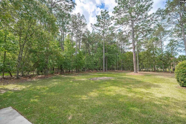 17 Laurel Bluff Ct, Columbia, SC 29229 - view of grassy yard