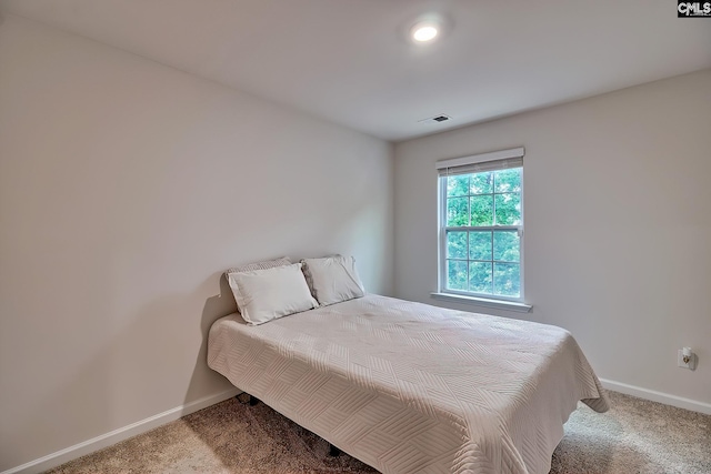 2040 Elmridge Rd, Columbia, SC 29209 - bedroom with carpet floors and baseboards