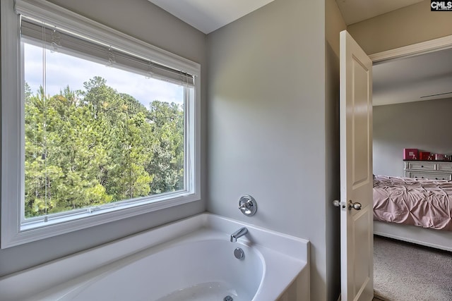 171 Turnfield Dr, West Columbia, SC 29170 - ensuite bathroom with plenty of natural light and a garden tub