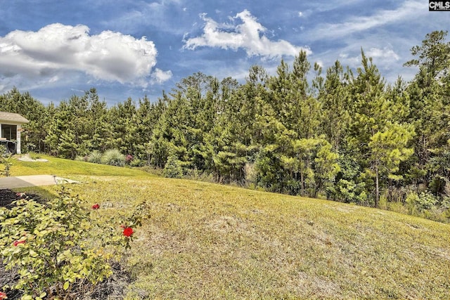 171 Turnfield Dr, West Columbia, SC 29170 - view of yard with a forest view