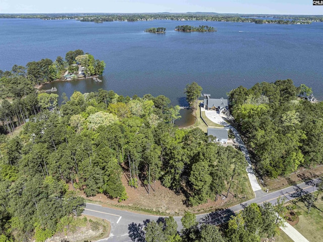2003 Shull Ave Unit B, Gilbert, SC 29054