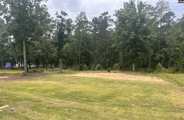 281 Osprey Pointe Ln, Prosperity, SC 29127 - view of yard