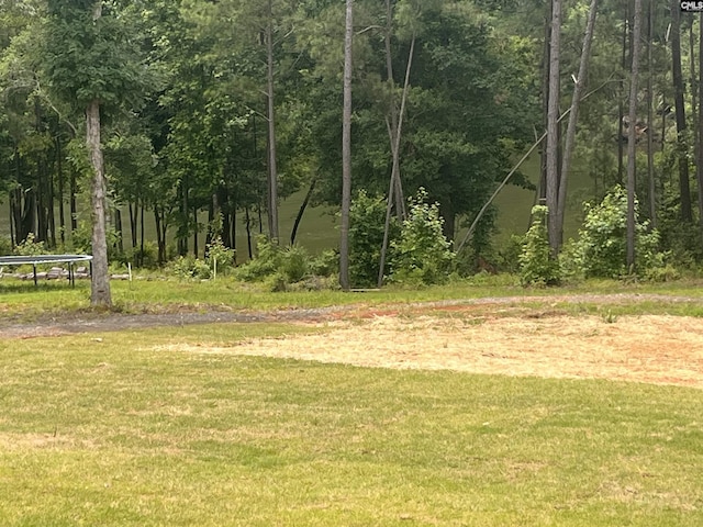 281 Osprey Pointe Ln, Prosperity, SC 29127 - view of grassy yard with a view of trees