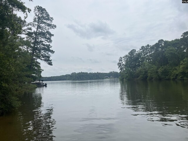 281 Osprey Pointe Ln, Prosperity, SC 29127 - water view with a heavily wooded area