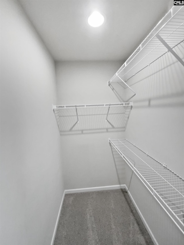 walk in closet featuring carpet