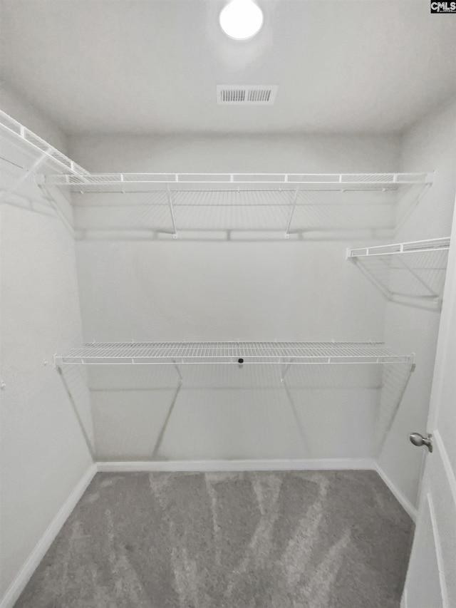 walk in closet featuring carpet