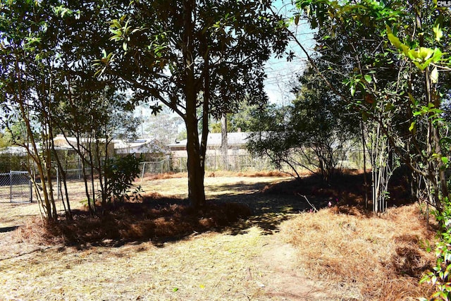 813 Greenlawn Dr, Columbia, SC 29209 - view of yard featuring fence