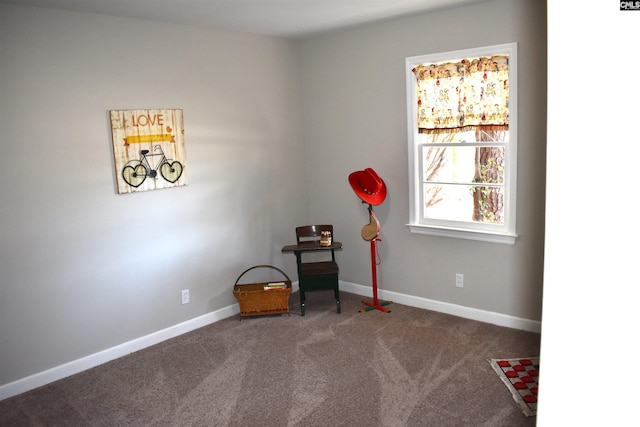 813 Greenlawn Dr, Columbia, SC 29209 - miscellaneous room featuring carpet flooring and baseboards