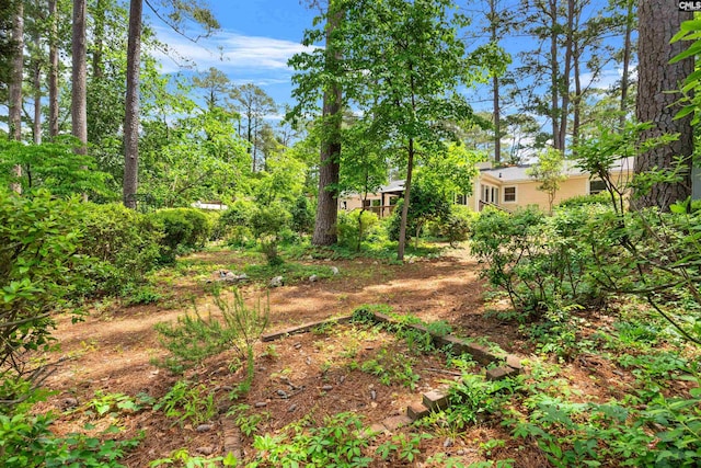 4833 Circle Dr, Columbia, SC 29206 - view of yard