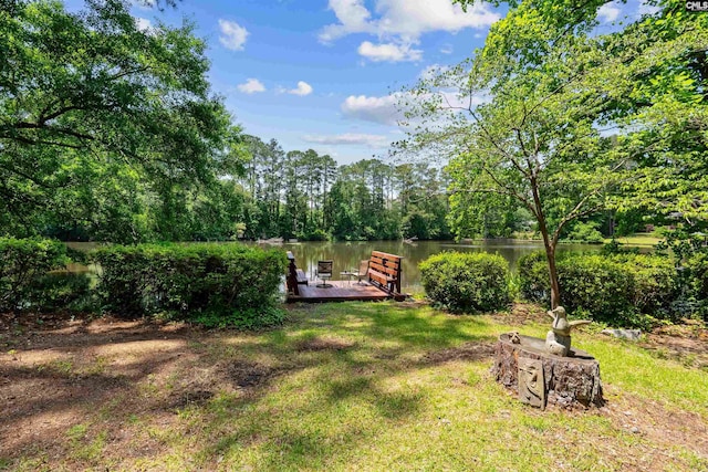 4833 Circle Dr, Columbia, SC 29206 - view of yard with a water view