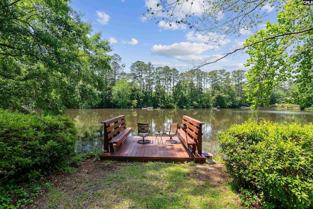 4833 Circle Dr, Columbia, SC 29206 - dock with a water view