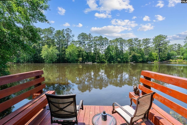 4833 Circle Dr, Columbia, SC 29206 - dock featuring a water view
