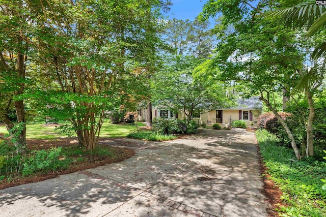 4833 Circle Dr, Columbia, SC 29206 - view of property hidden behind natural elements with driveway