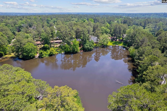 4833 Circle Dr, Columbia, SC 29206 - view of property location with a forest and a large body of water