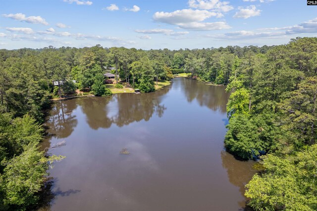 4833 Circle Dr, Columbia, SC 29206 - drone / aerial view of a heavily wooded area and a large body of water
