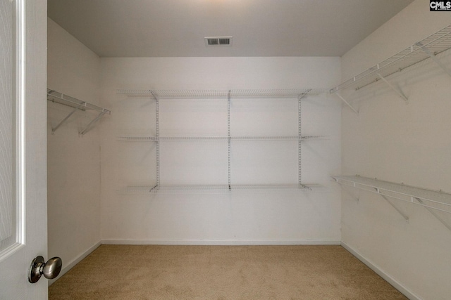 175 Nestle Ct, Columbia, SC 29209 - walk in closet featuring light carpet