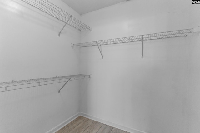spacious closet with light wood-style floors