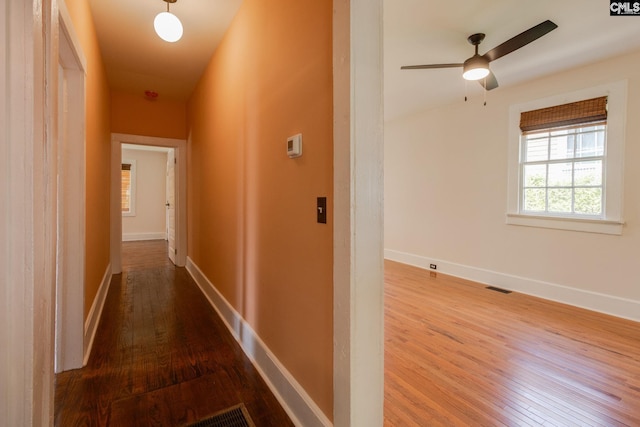 808 Oak St, Columbia, SC 29205 - hallway with wood-type flooring and baseboards