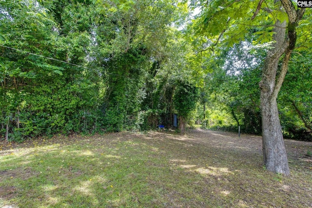 808 Oak St, Columbia, SC 29205 - view of yard with a wooded view