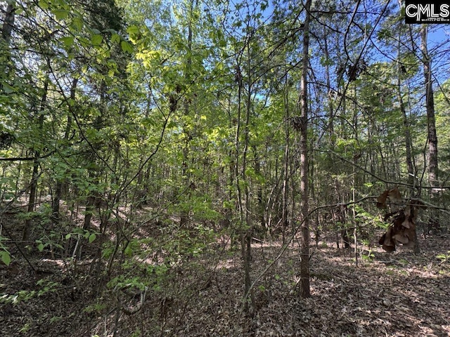 Shaw Rd Unit 19, Woodruff, SC 29388