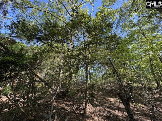 Shaw Rd Unit 19, Woodruff, SC 29388