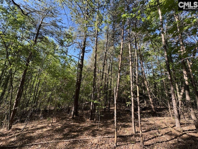 Shaw Rd Unit 19, Woodruff, SC 29388