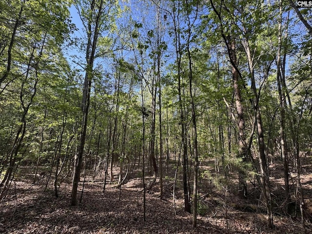 Shaw Rd Unit 19, Woodruff, SC 29388