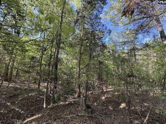 Shaw Rd Unit 19, Woodruff, SC 29388
