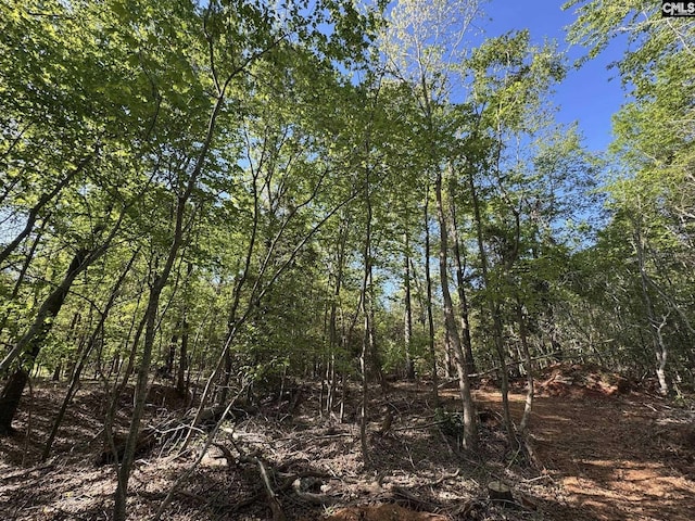 Shaw Rd Unit 19, Woodruff, SC 29388