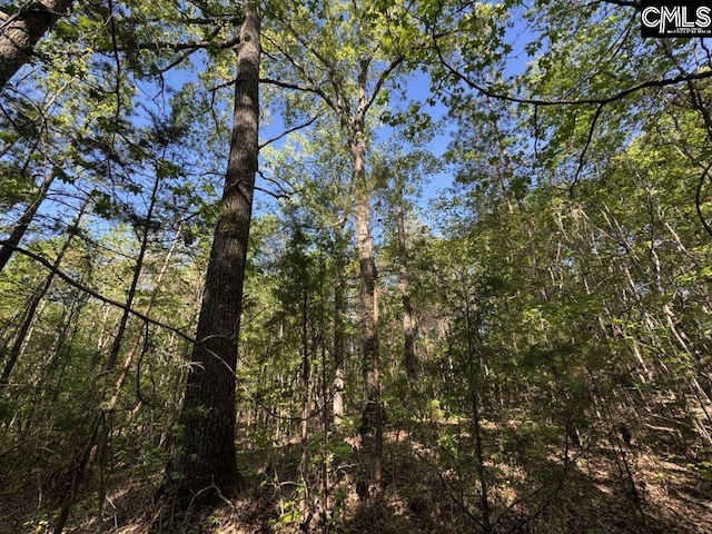 Shaw Rd Unit 19, Woodruff, SC 29388