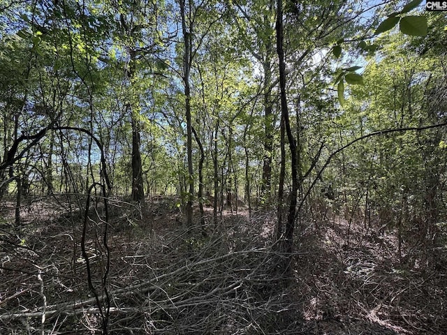 Shaw Rd Unit 19, Woodruff, SC 29388