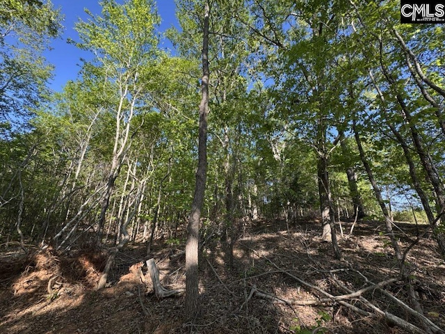 Shaw Rd Unit 19, Woodruff, SC 29388