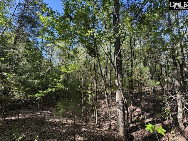 Shaw Rd Unit 19, Woodruff, SC 29388