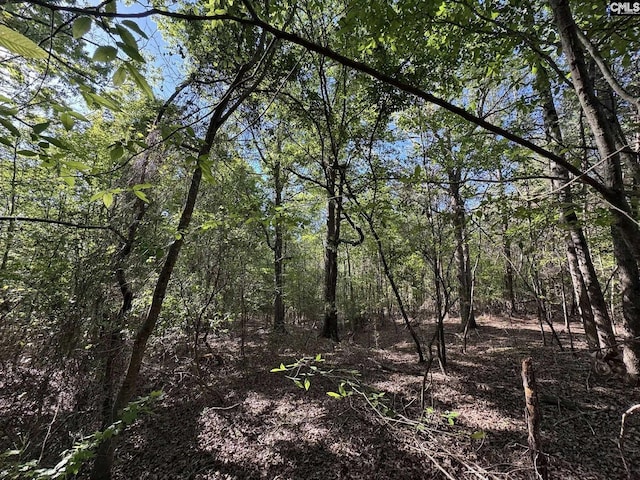 Shaw Rd Unit 19, Woodruff, SC 29388