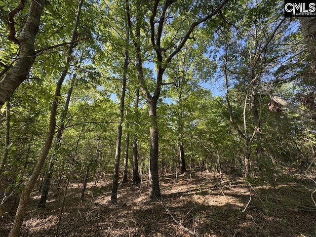 Shaw Rd Unit 19, Woodruff, SC 29388