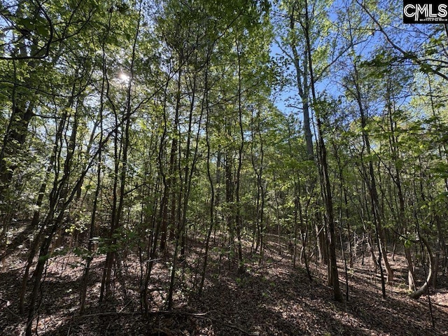 Shaw Rd Unit 19, Woodruff, SC 29388