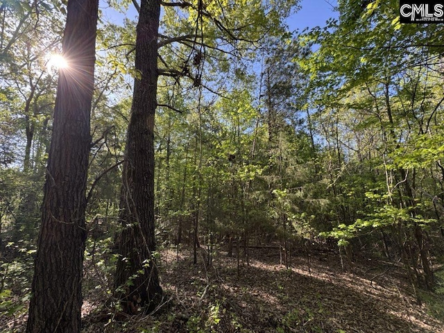 Shaw Rd Unit 19, Woodruff, SC 29388