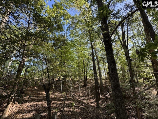 Shaw Rd Unit 19, Woodruff, SC 29388